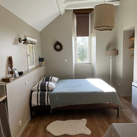 Studio Du Grand Beaumont Saint-Mélaine-sur-Aubance Kültér fotó